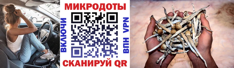 Псилоцибиновые грибы GOLDEN TEACHER  Енисейск 